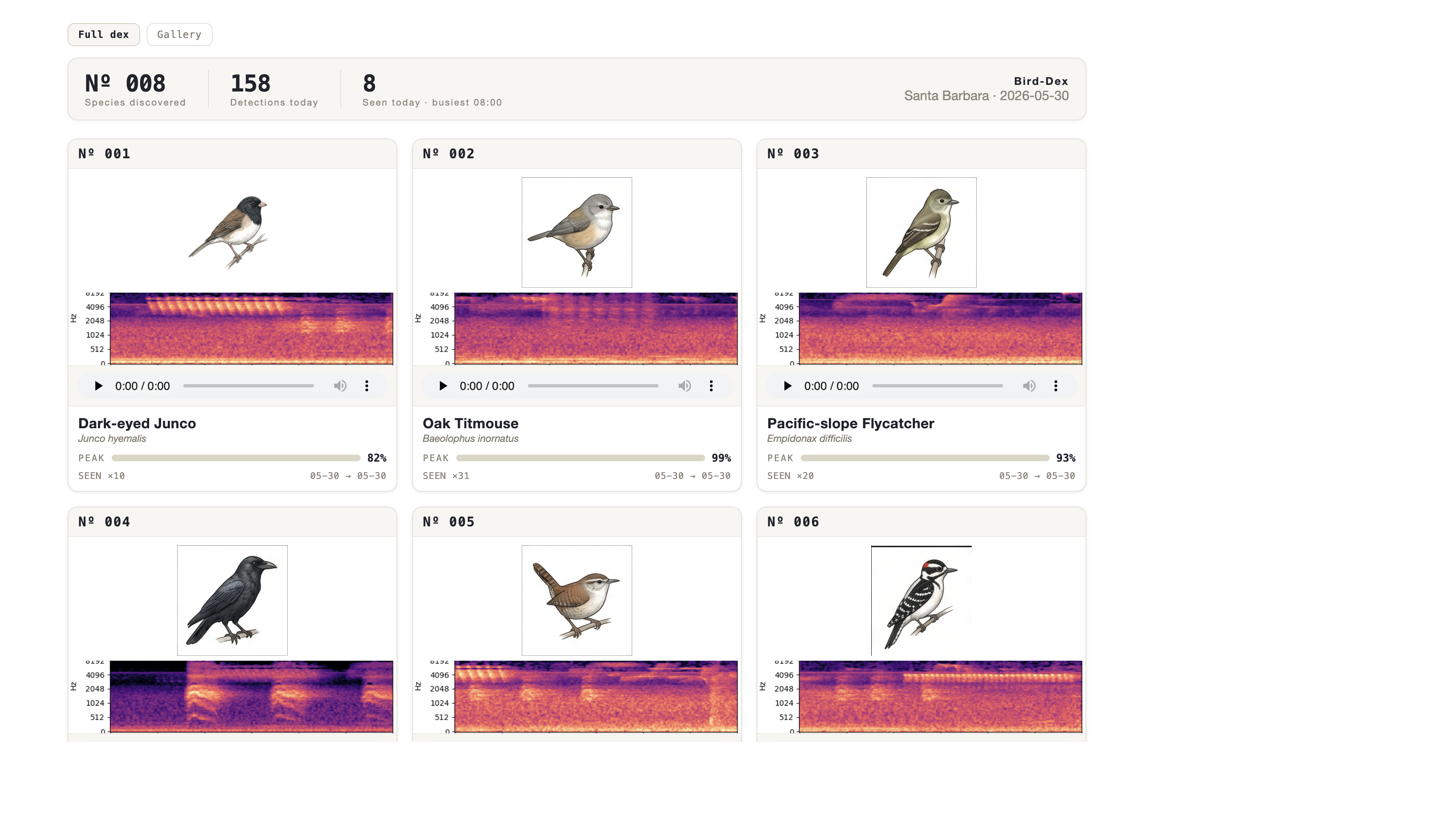 Bird-Dex dashboard showing illustrated bird cards with audio playback and sighting stats