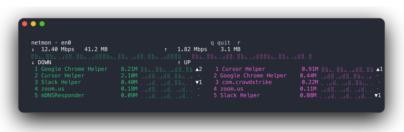 netmon terminal UI showing download and upload rates with dual process ladders and braille history sparklines